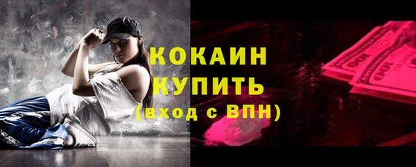 индика Абинск