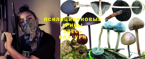 индика Абинск
