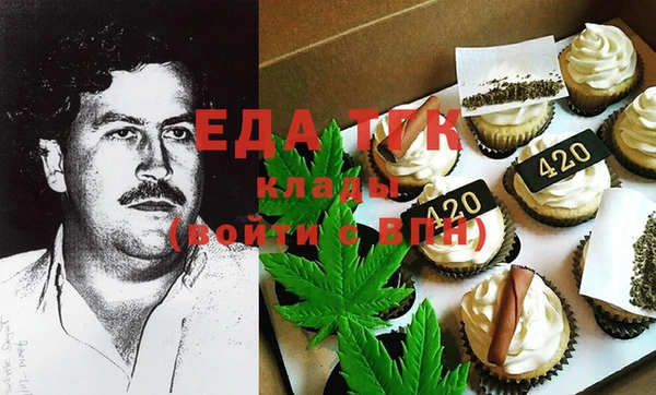 индика Абинск
