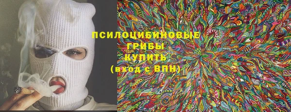 а пвп мука Абаза